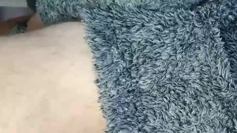 nineinchhard online show from May 2026 09:49:02 AM