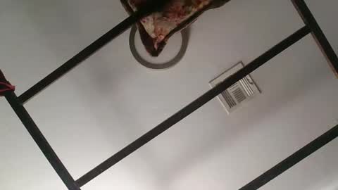 Snapshot of nipplechaser chatting on January 2025 05:37:01 PM nipplechaser online show from January 2025 05:37:01 PM