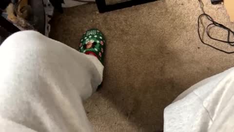 Snapshot of nipplelover69143 chatting on December 2024 04:32:02 PM nipplelover69143 online show from December 2024 04:32:02 PM