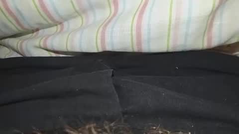 Snapshot of niterider22 chatting on March 2026 01:23:01 AM niterider22 online show from March 2026 01:23:01 AM