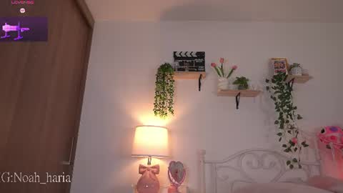 noah__23 online show from June 2026 11:07:01 PM
