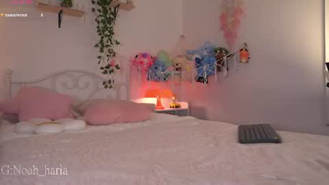 noah__23 online show from June 2026 12:08:01 AM