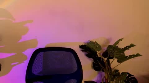 noah_dupont_ online show from November 2025 11:42:02 AM