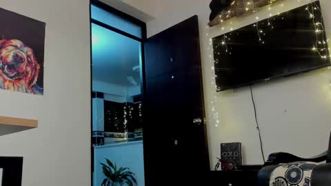 Snapshot of noahbrawn chatting on December 2024 12:01:02 PM LIAM- noah online show from December 2024 12:01:02 PM