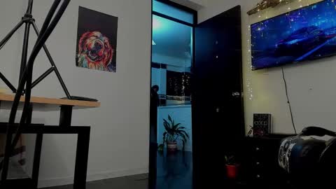 Snapshot of noahbrawn chatting on January 2025 12:30:01 PM LIAM- noah online show from January 2025 12:30:01 PM