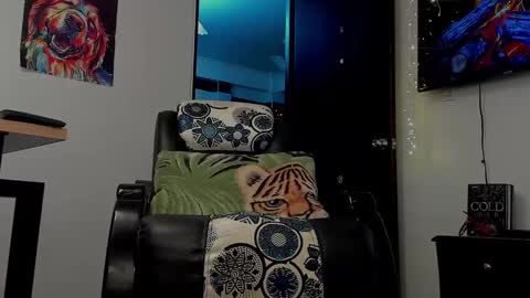 Snapshot of noahbrawn chatting on January 2025 03:03:01 PM LIAM- noah online show from January 2025 03:03:01 PM