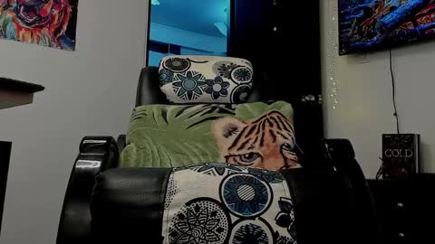 Snapshot of noahbrawn chatting on January 2025 06:23:01 PM LIAM- noah online show from January 2025 06:23:01 PM