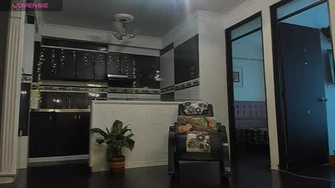 Snapshot of noahbrawn chatting on January 2025 06:16:02 PM LIAM- noah online show from January 2025 06:16:02 PM