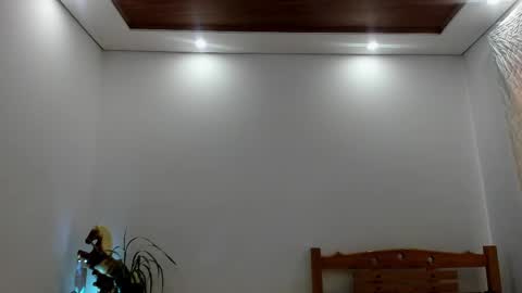 Snapshot of noahbrawn chatting on October 2025 03:01:01 PM LIAM- noah online show from October 2025 03:01:01 PM