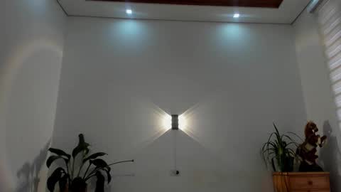 Snapshot of noahbrawn chatting on January 2026 01:16:01 PM LIAM- noah online show from January 2026 01:16:01 PM