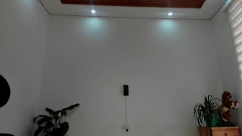 Snapshot of noahbrawn chatting on February 2026 01:21:02 PM LIAM- noah online show from February 2026 01:21:02 PM