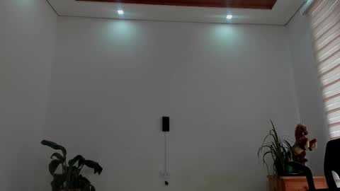 Snapshot of noahbrawn chatting on March 2026 01:33:02 PM LIAM- noah online show from March 2026 01:33:02 PM