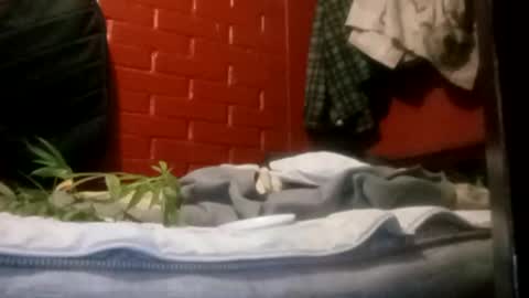 nocturnus1980 online show from September 2025 05:21:01 AM