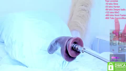 Snapshot of noehmi13 chatting on March 2025 09:22:01 PM NhAndrea online show from March 2025 09:22:01 PM