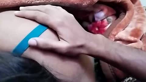 Snapshot of nooby942461 chatting on December 2024 06:52:01 AM sim nib online show from December 2024 06:52:01 AM