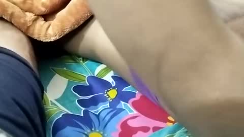 Snapshot of nooby942461 chatting on January 2025 08:44:01 PM sim nib online show from January 2025 08:44:01 PM