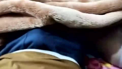 sim  nib online show from January 2026 09:09:01 PM