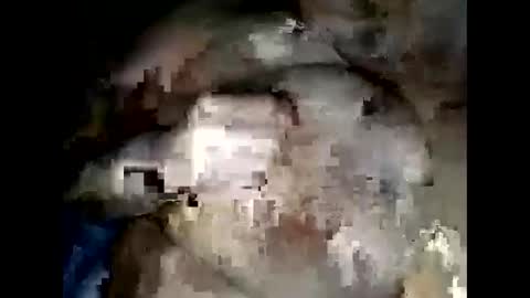 Snapshot of normajeen77777 chatting on April 2026 07:47:02 AM normajeen77777 online show from April 2026 07:47:02 AM