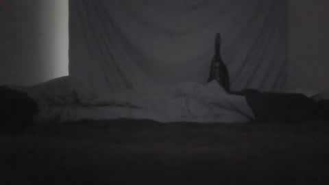 norty450 online show from February 2026 03:21:02 AM