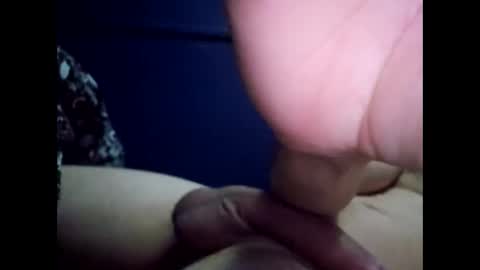 norwich_bigwhitecock online show from November 2025 06:38:02 AM