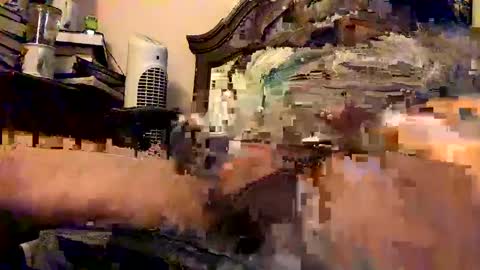 nothingclever1003 online show from January 2025 07:38:02 AM