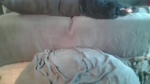 Snapshot of nova_kanee chatting on April 2026 06:10:01 PM Nova online show from April 2026 06:10:01 PM