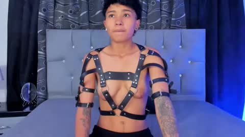 nova online show from February 2025 05:19:02 AM