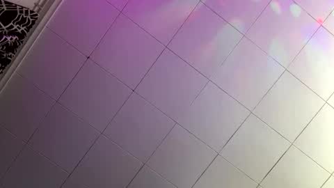 LucidXotix online show from January 2025 08:54:01 AM