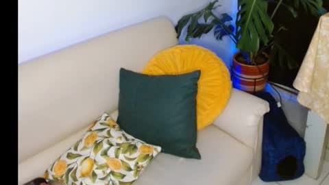 novaperotti online show from October 2025 11:35:01 PM