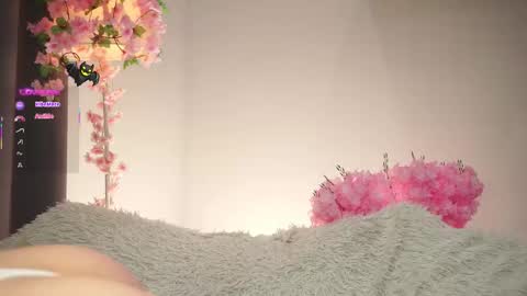 Dina online show from November 2025 01:38:02 AM