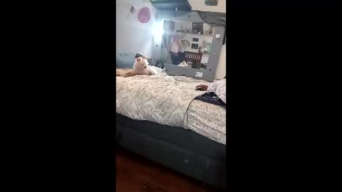 noxxsable online show from February 2026 11:17:01 AM