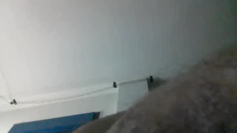 nqbzawcgchyk online show from March 2026 02:29:01 AM