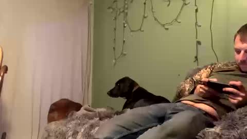 Snapshot of nsy57528 chatting on October 2025 12:00:01 AM nsy57528 online show from October 2025 12:00:01 AM