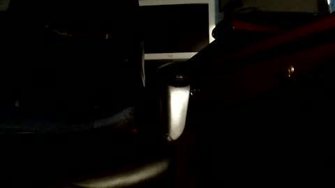 Snapshot of nudistday chatting on March 2026 12:33:11 PM Adults only online show from March 2026 12:33:11 PM