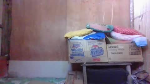 nurikoryueen online show from January 2025 02:59:01 AM