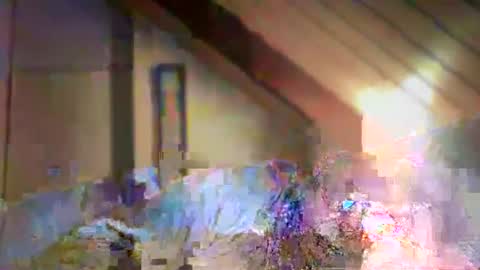 nurod online show from December 2024 04:40:02 PM