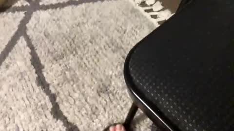 nursesteve online show from November 2025 02:57:02 AM