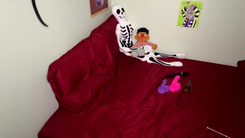 Nymphaea online show from September 2025 12:03:01 AM