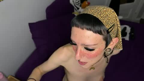 Nymphaea online show from June 2026 11:35:02 PM