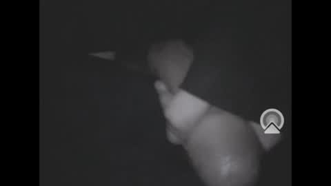 Snapshot of nympham chatting on April 2026 07:06:01 AM nympham online show from April 2026 07:06:01 AM