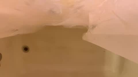 Snapshot of odinstone chatting on January 2026 06:44:01 PM Odin Stone online show from January 2026 06:44:01 PM