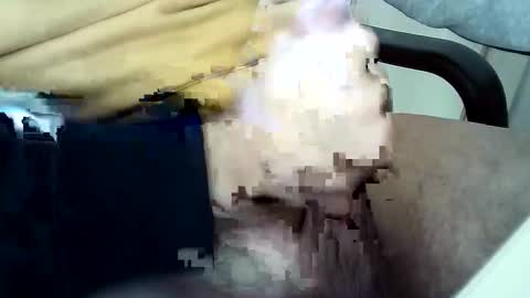 officersex y online show from November 2025 01:33:02 PM