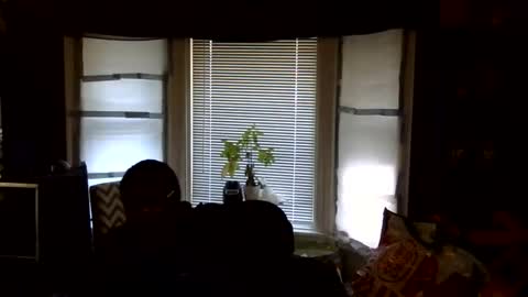 oscar flores online show from February 2026 03:08:02 PM