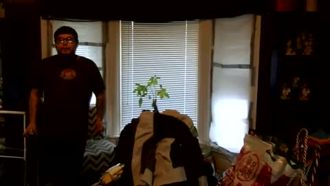 oscar flores online show from March 2026 01:02:01 PM