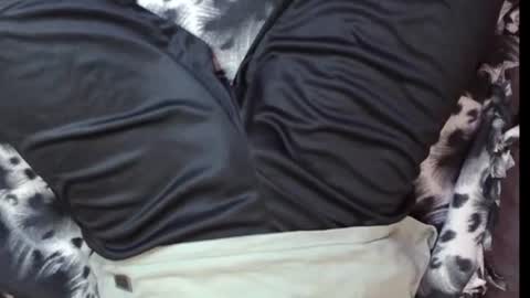 Snapshot of oheyhun chatting on December 2024 09:48:02 AM oheyhun online show from December 2024 09:48:02 AM