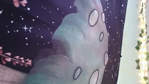 Snapshot of oheyhun chatting on January 2025 06:51:01 PM oheyhun online show from January 2025 06:51:01 PM