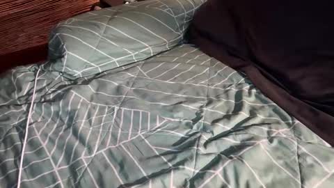 Snapshot of ohyeah2028 chatting on March 2026 02:41:02 AM ohyea online show from March 2026 02:41:02 AM