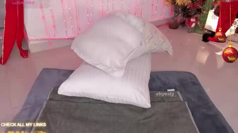 Snapshot of ohyesly_ chatting on December 2025 10:11:02 AM ohyesly_ online show from December 2025 10:11:02 AM