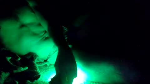 Snapshot of oibrev49 chatting on March 2026 09:03:02 AM oibrev49 online show from March 2026 09:03:02 AM