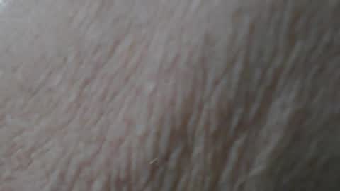 old_javacoder online show from June 2026 12:30:01 AM